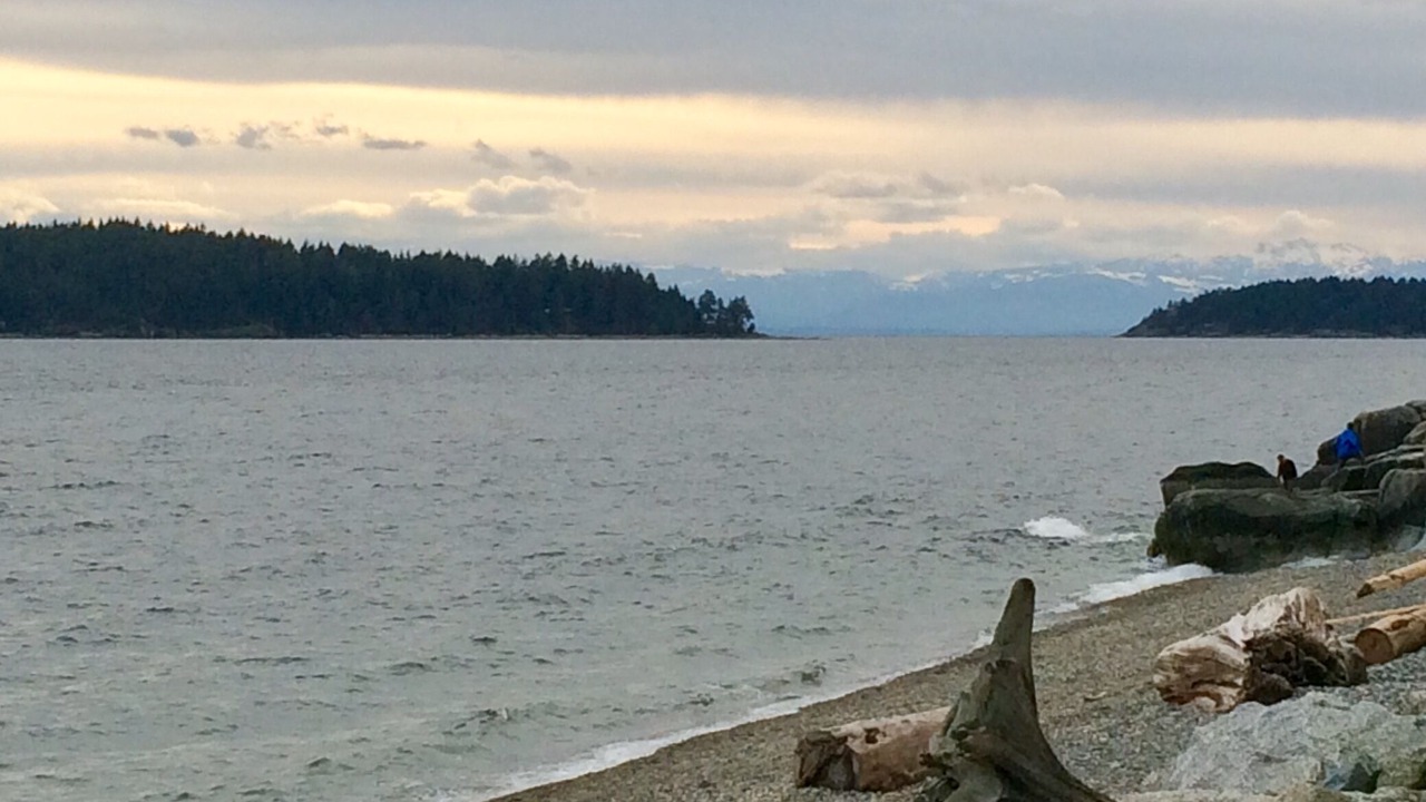Photo of Others in Sechelt