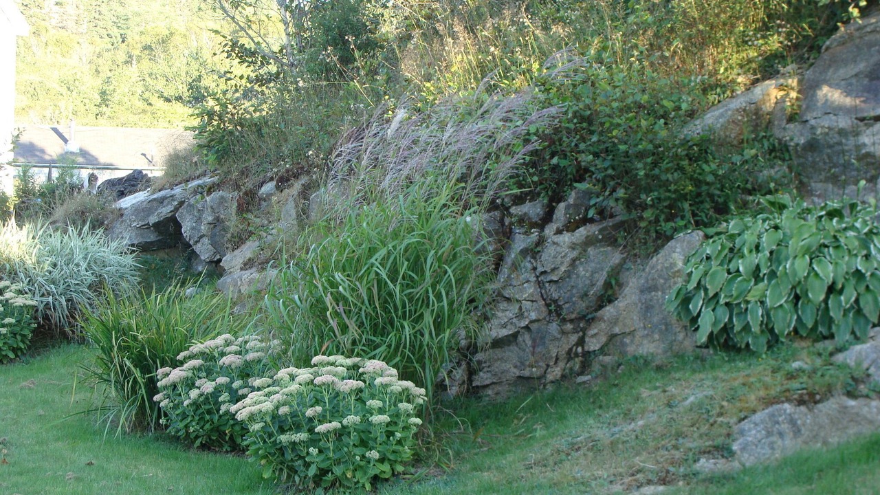 Photo of Outdoor in Fox Point