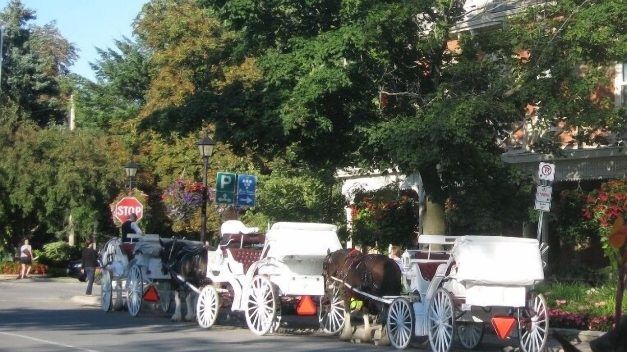 Photo of Others in Old Town Historic District