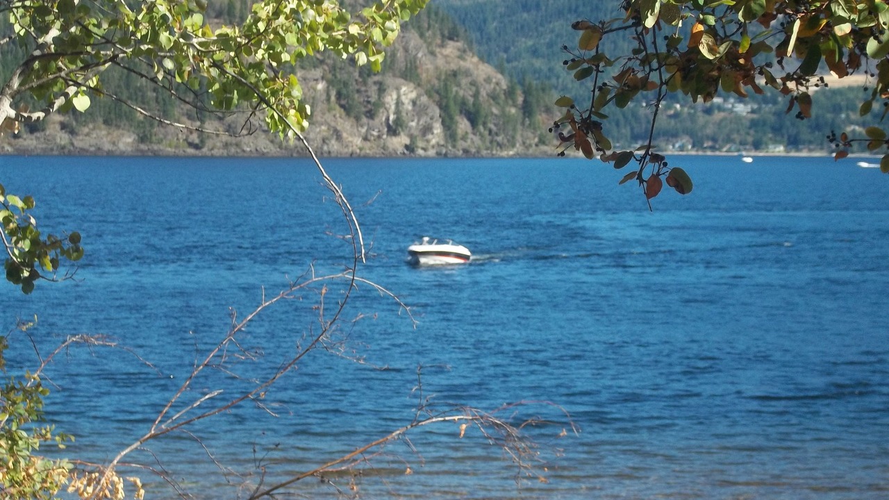 Photo of Others in Scotch Creek