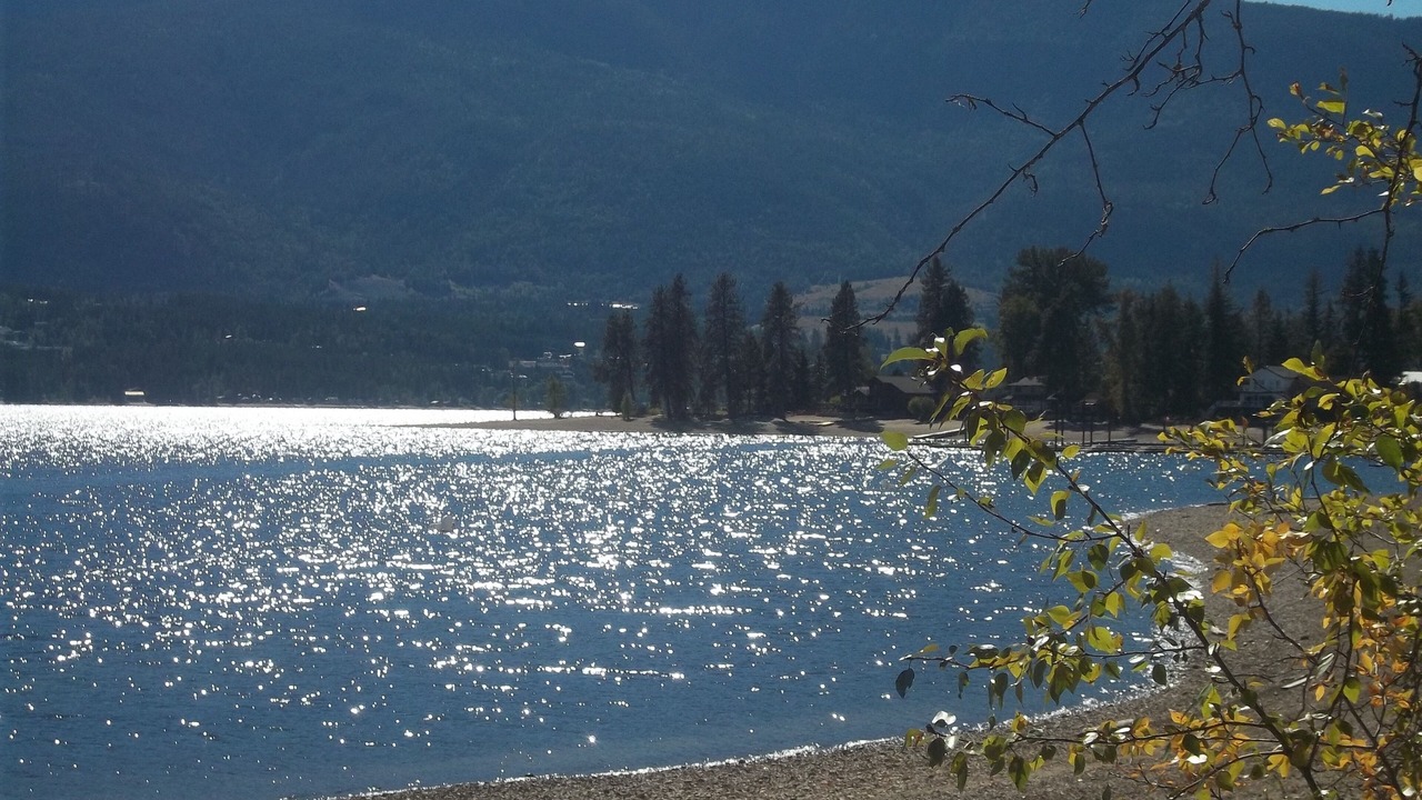 Photo of Others in Scotch Creek
