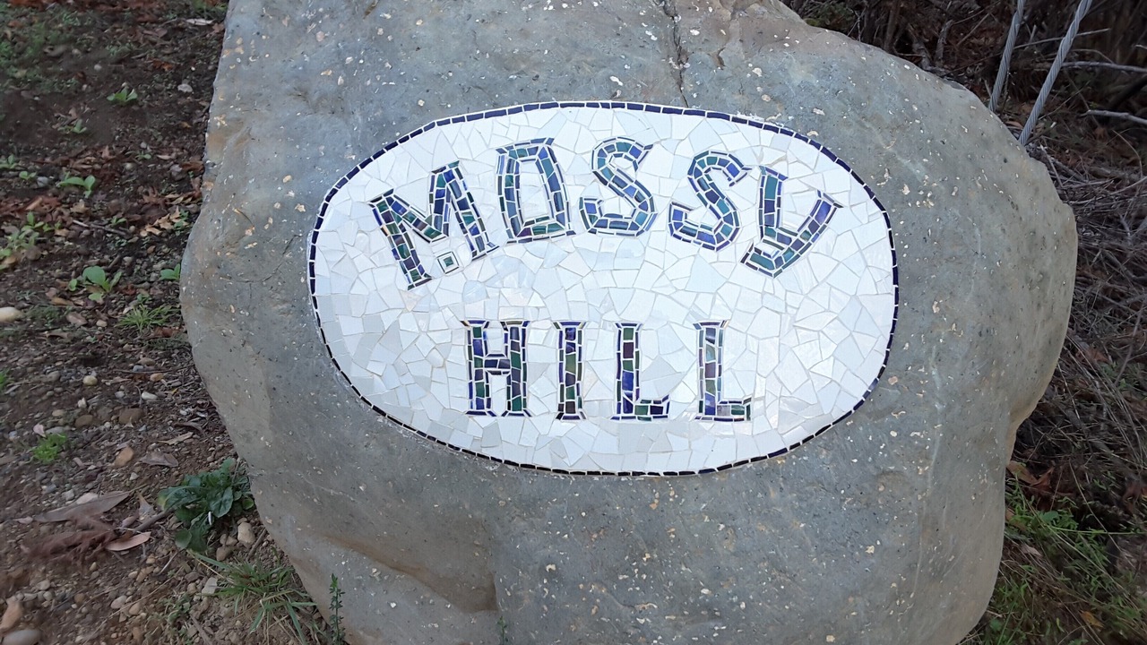 Photo of Others in Salt Spring Island