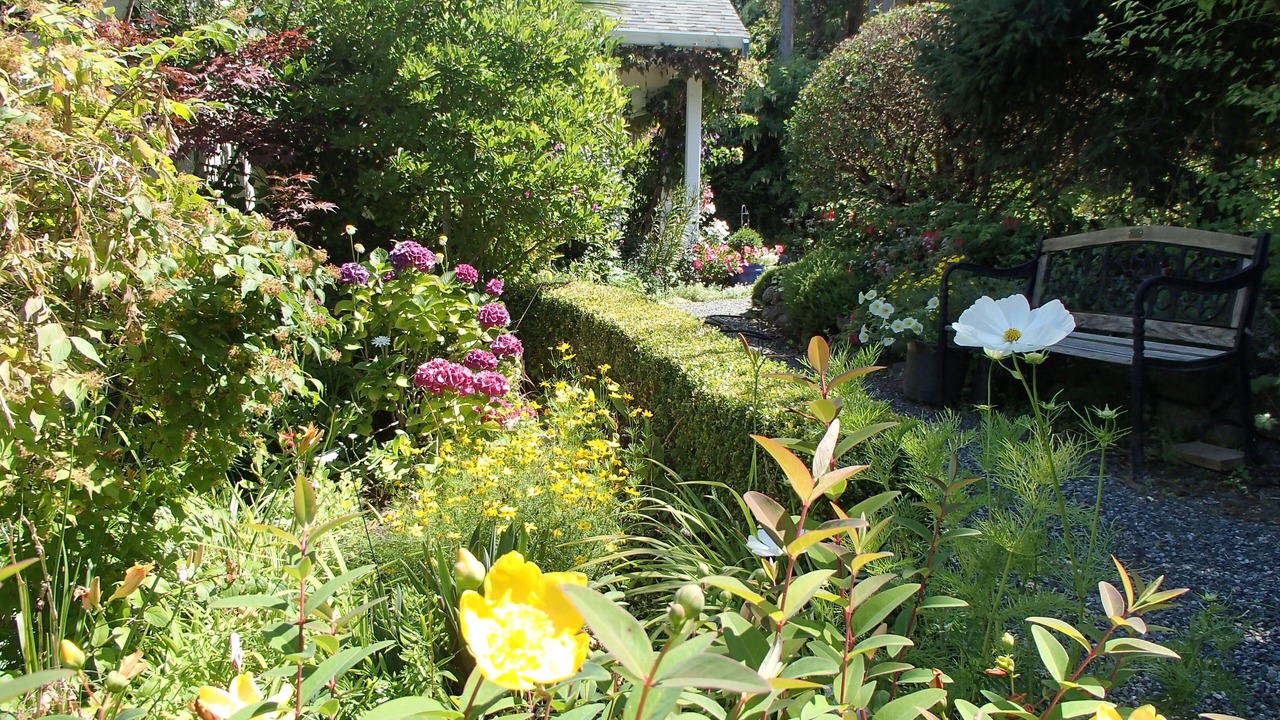 Photo of Outdoor in Cowichan Bay