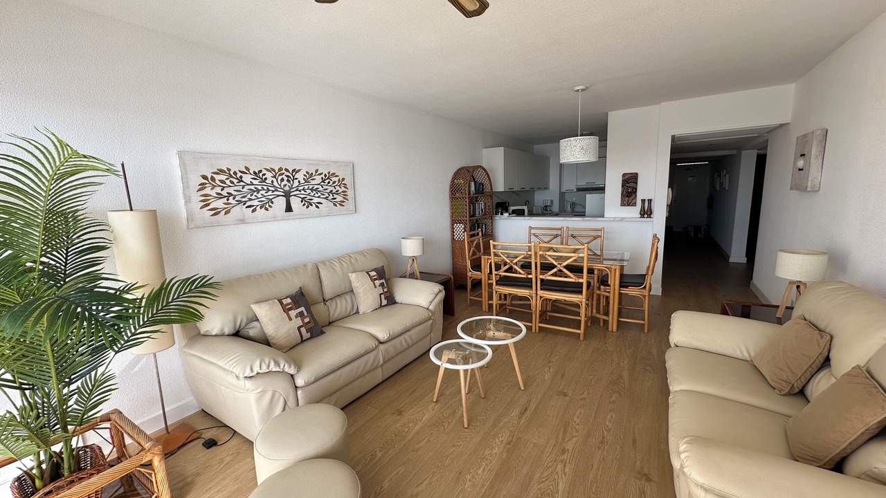 Photo of Livingroom in Sao Martinho