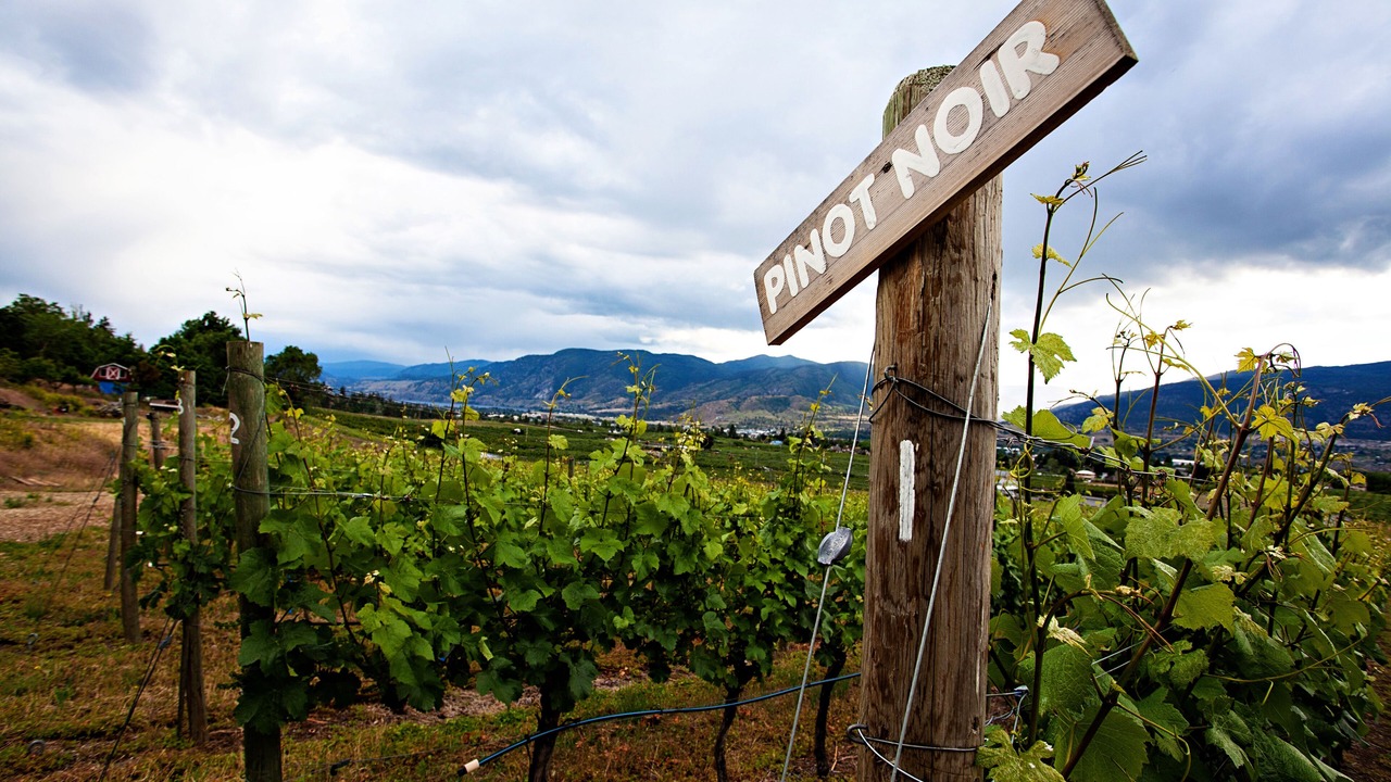 Photo of Outdoor in Okanagan-Similkameen