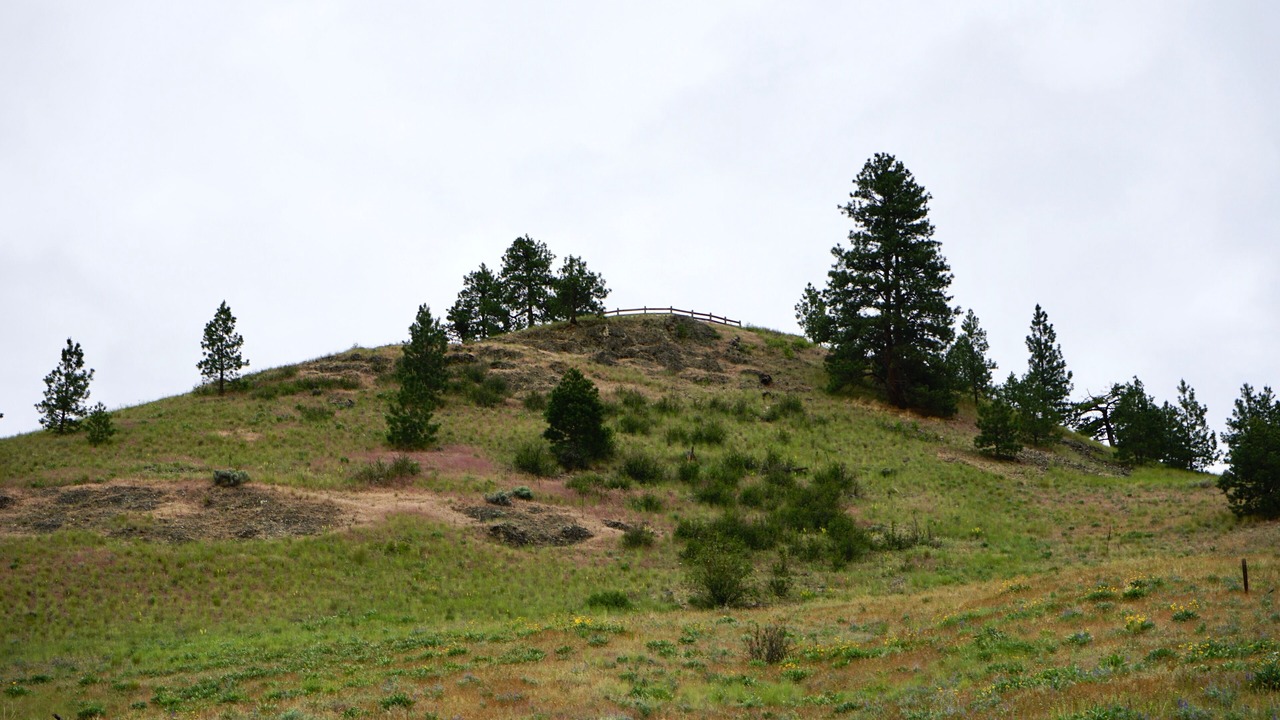 Photo of Others in Black Mountain