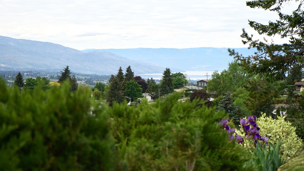 Photo of Outdoor in Black Mountain