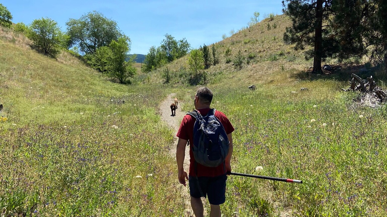 Photo of Outdoor in Black Mountain