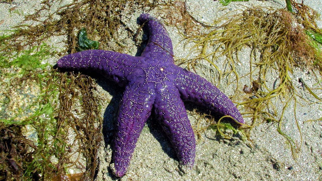 Photo of Others in North Oyster