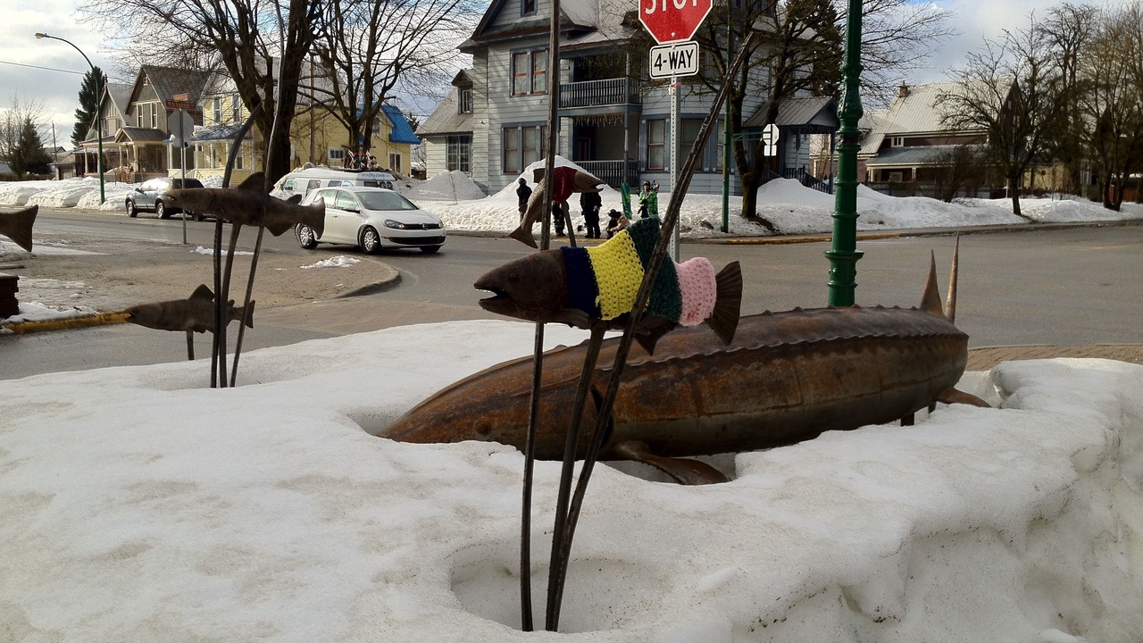 Photo of Others in Revelstoke