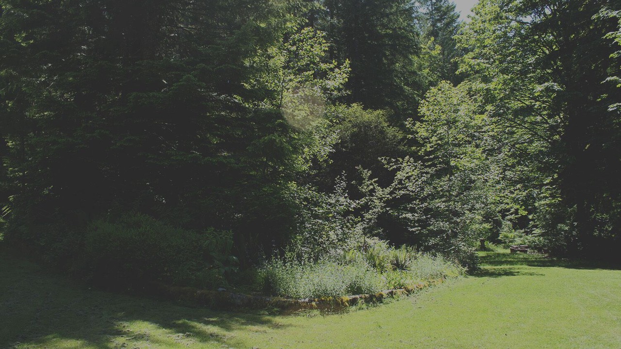 Photo of Outdoor in Shawnigan Lake