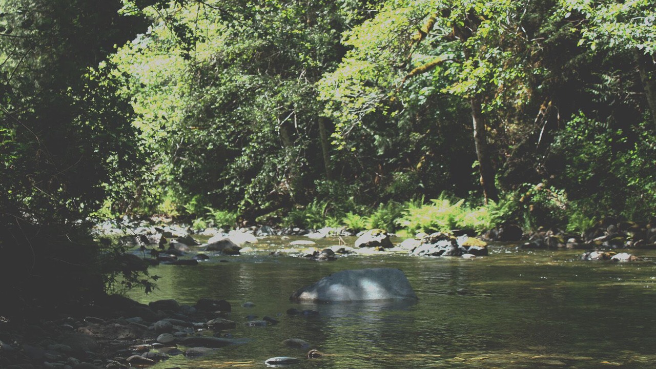 Photo of Others in Shawnigan Lake