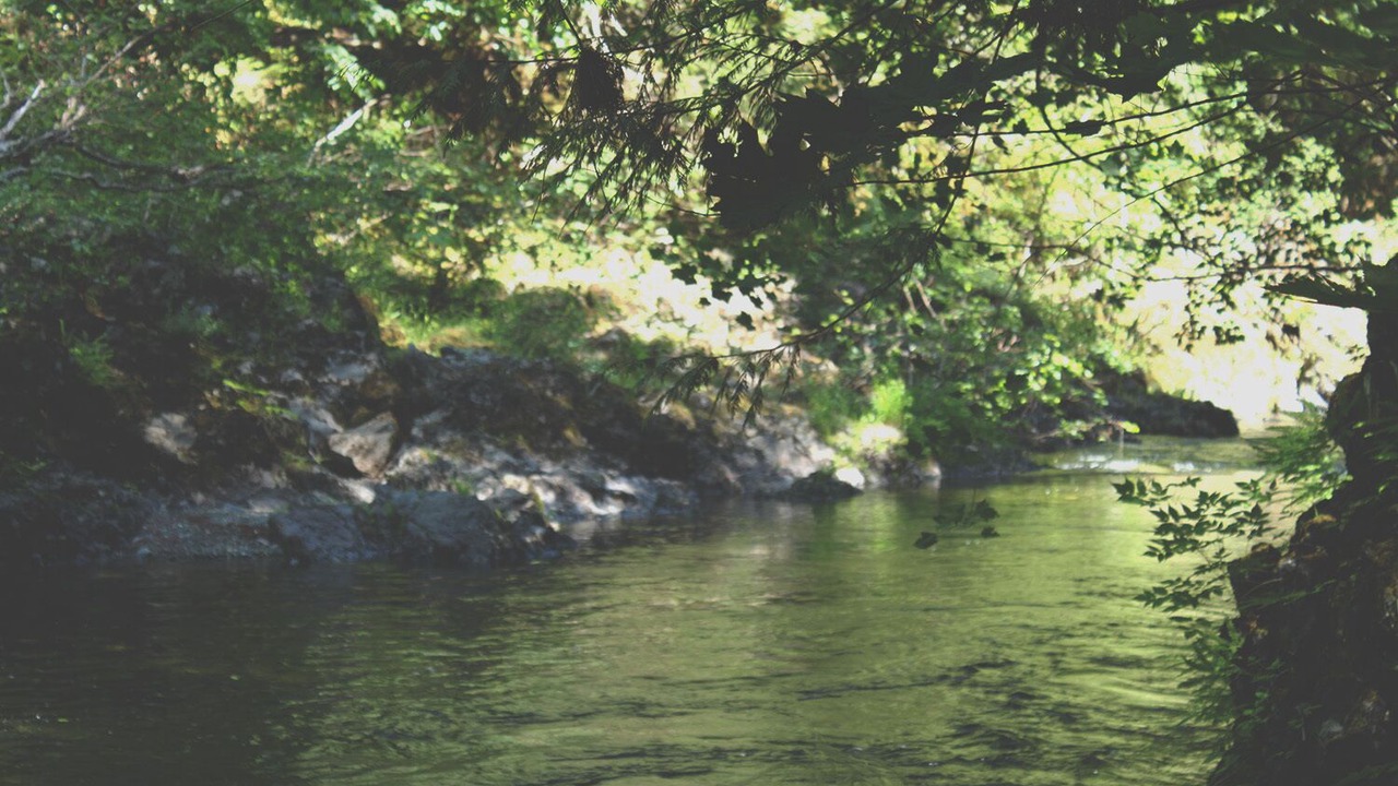 Photo of Others in Shawnigan Lake