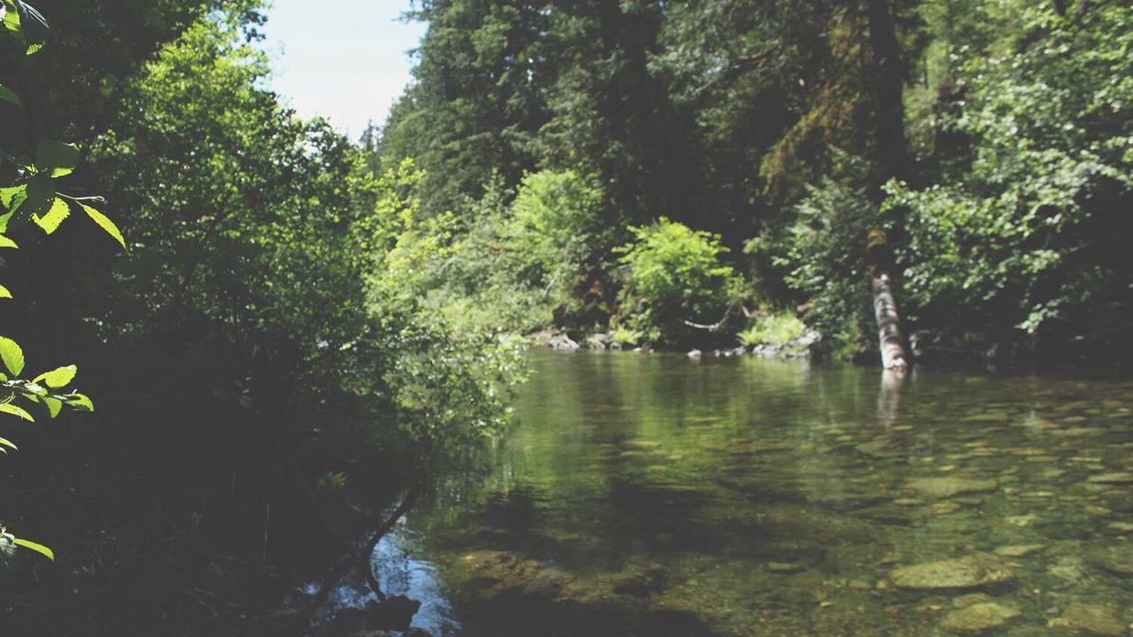 Photo of Others in Shawnigan Lake