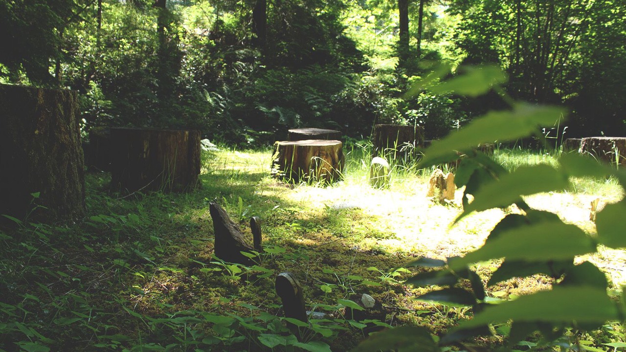 Photo of Others in Shawnigan Lake