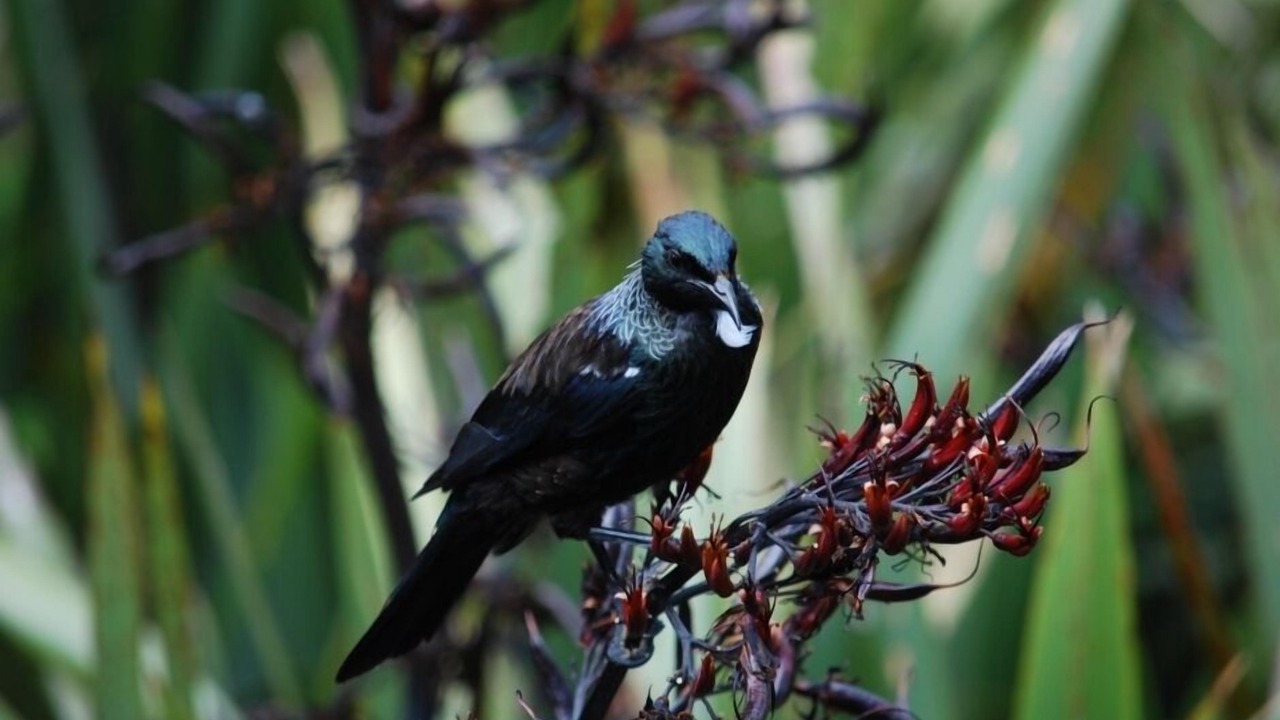 Photo of Others in Masterton