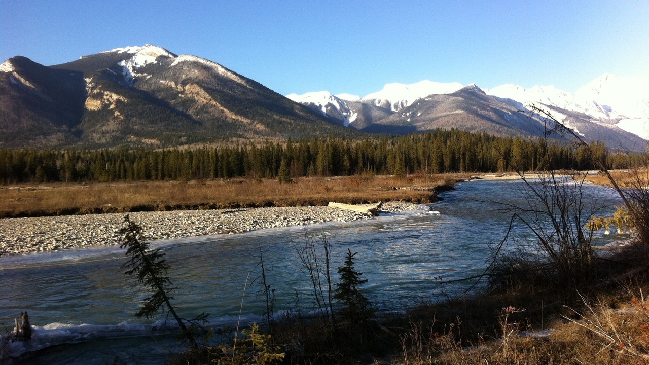 Photo of Others in Golden