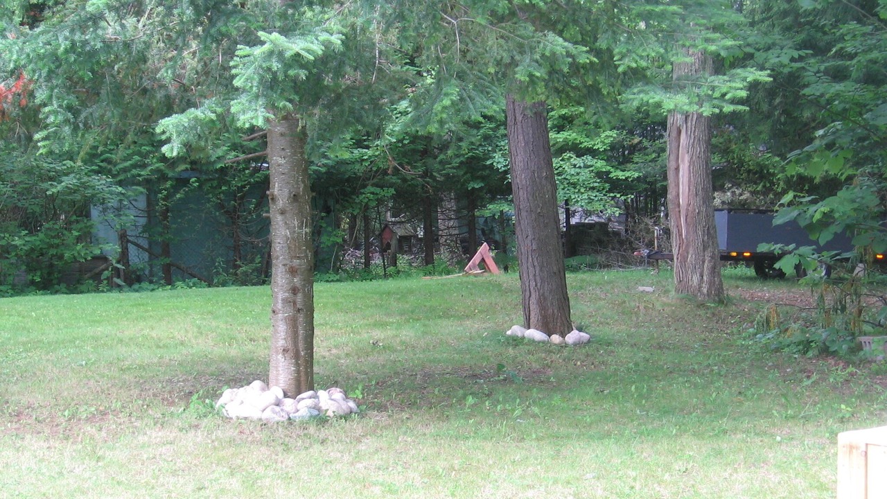Photo of Others in Tiny