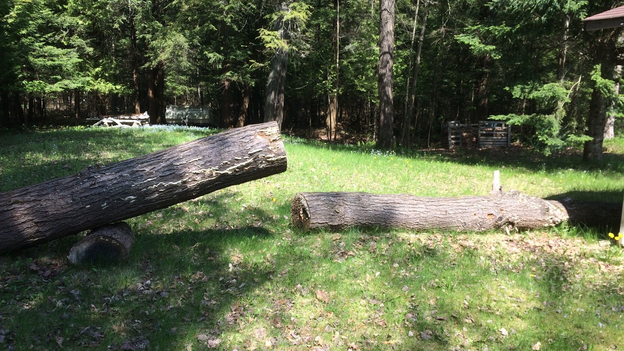 Photo of Outdoor in Tiny