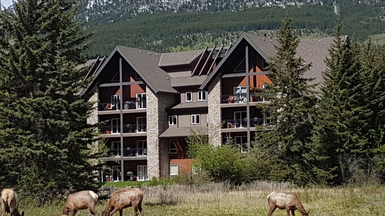 Photo of Others in Canmore