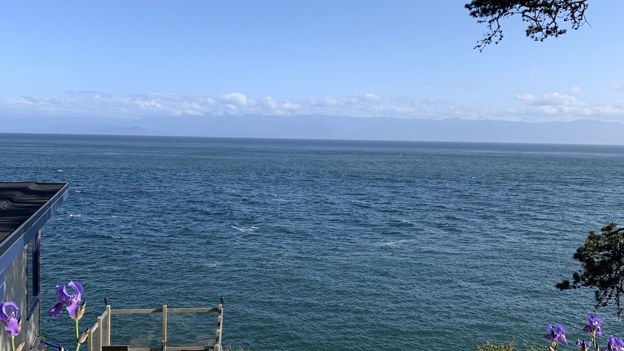 Photo of Outdoor in Otter Point