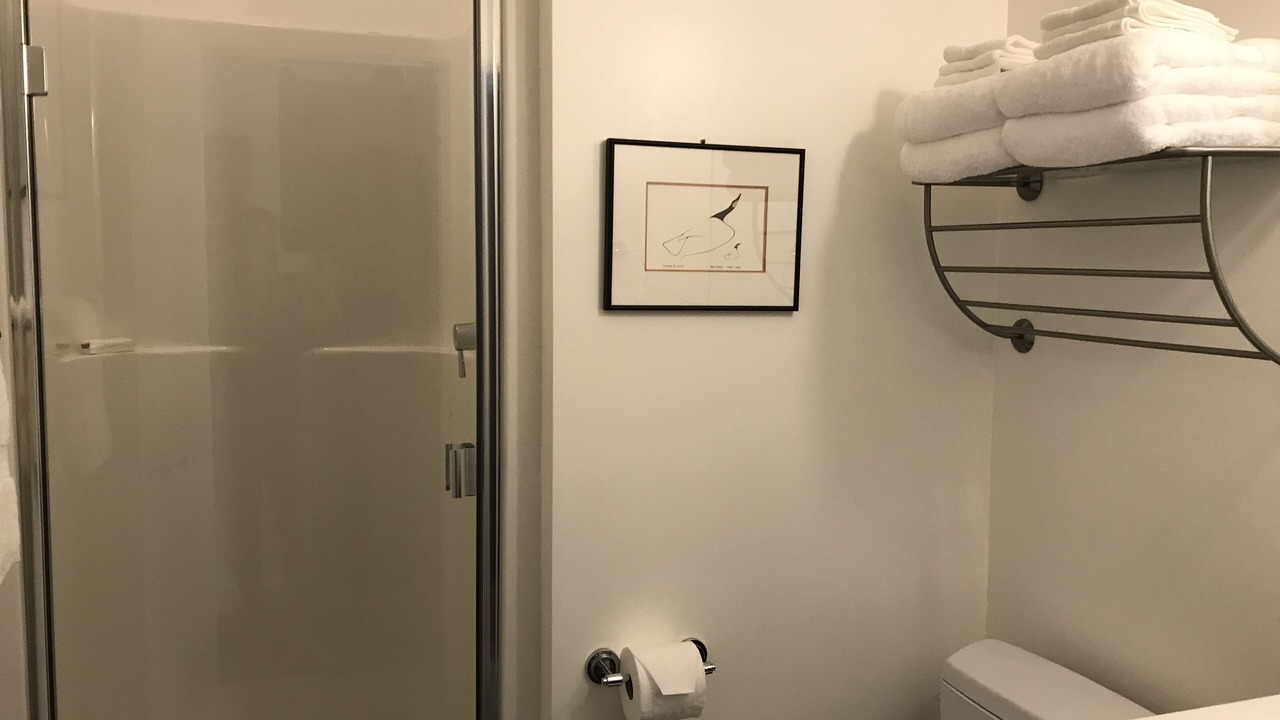 Photo of Bathroom in Downtown Victoria