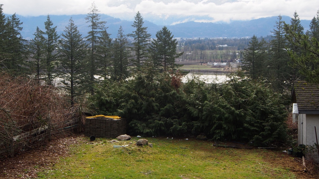 Photo of Outdoor in Agassiz