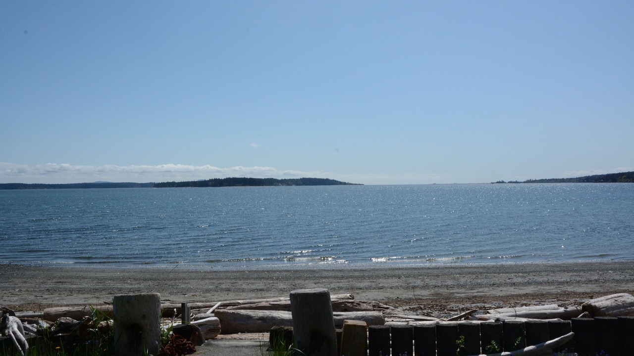 Photo of Others in Sidney