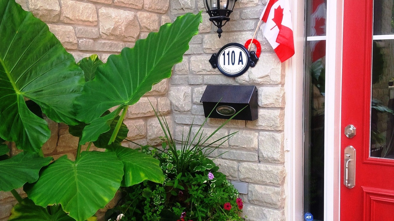 Photo of Outdoor in Upper Beaches