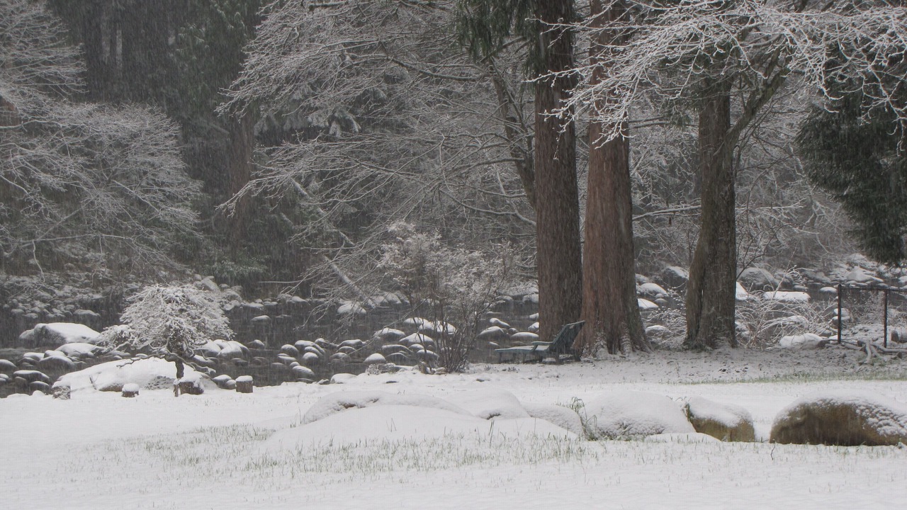 Photo of Others in District of North Vancouver