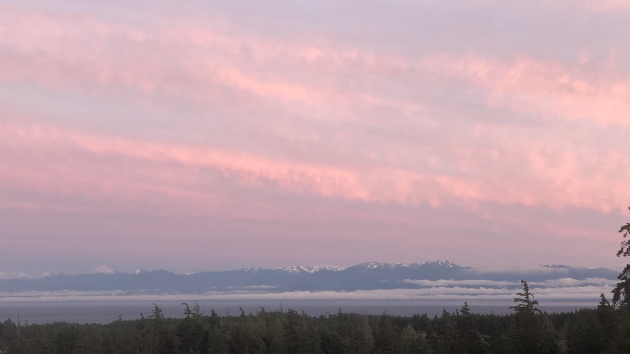 Photo of Others in Colwood
