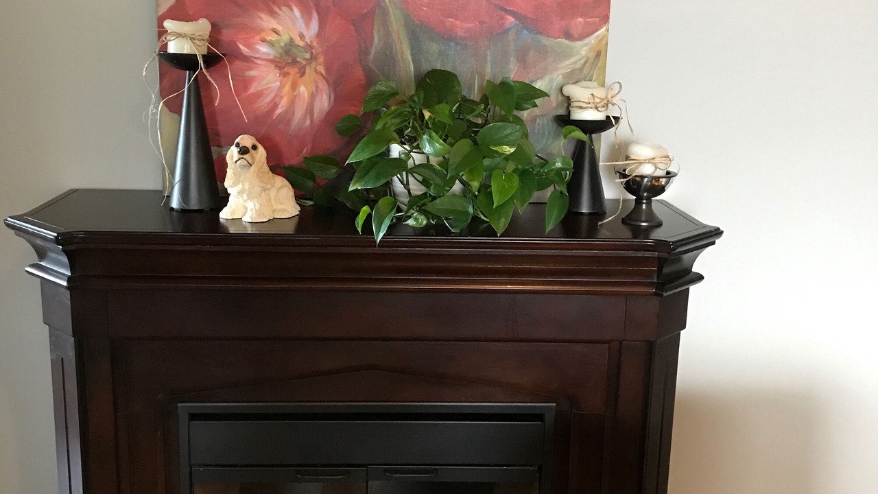 Photo of Livingroom in North Cowichan