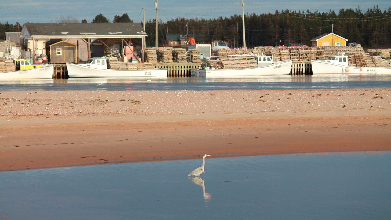 Photo of Others in Stanhope