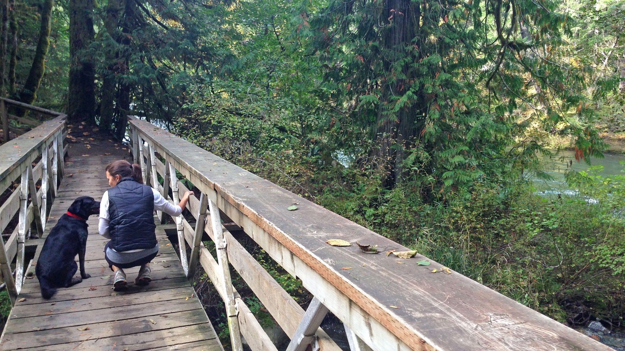 Photo of Outdoor in Mill Bay