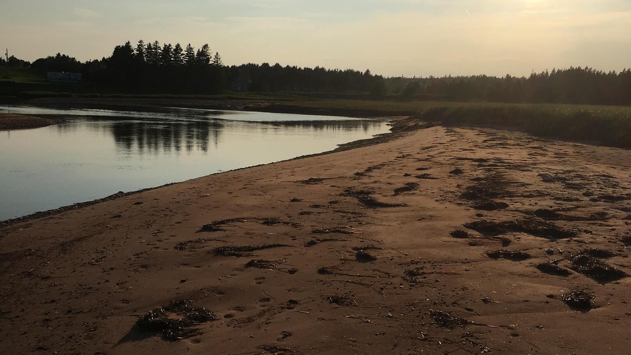 Photo of Others in Bay Fortune