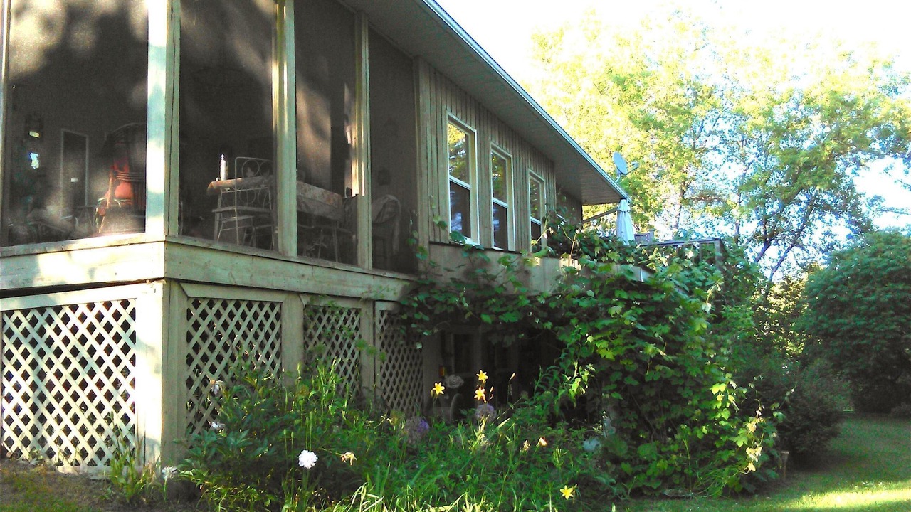 Photo of Outdoor in New Lowell