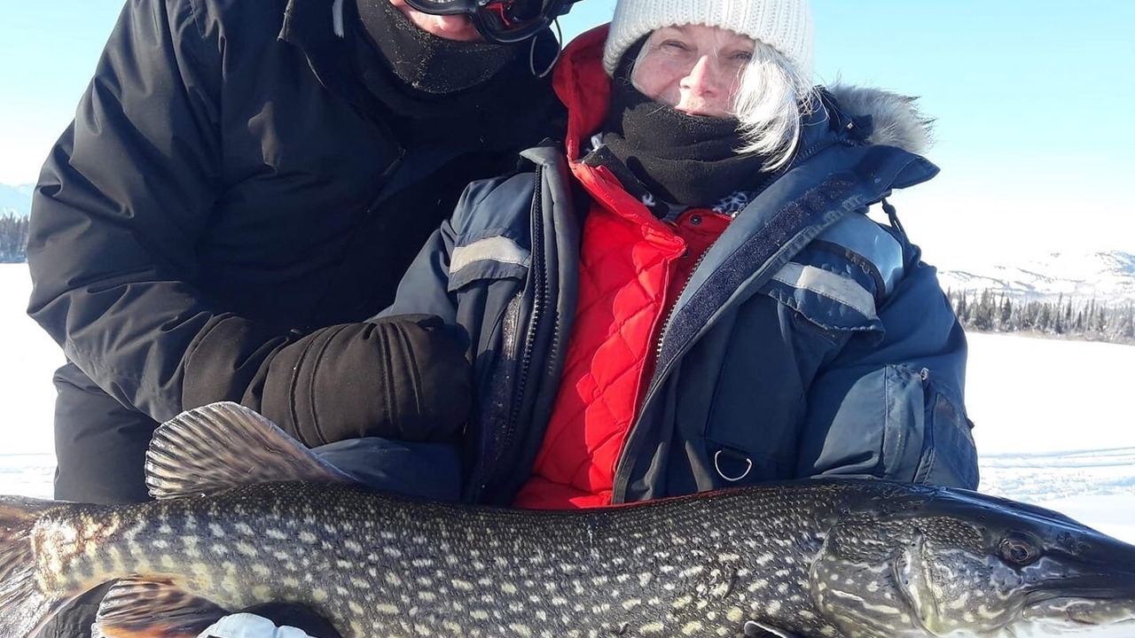 Photo of Others in Haines Junction