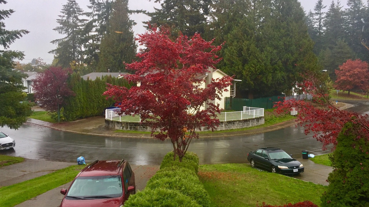 Photo of Outdoor in Clearbrook