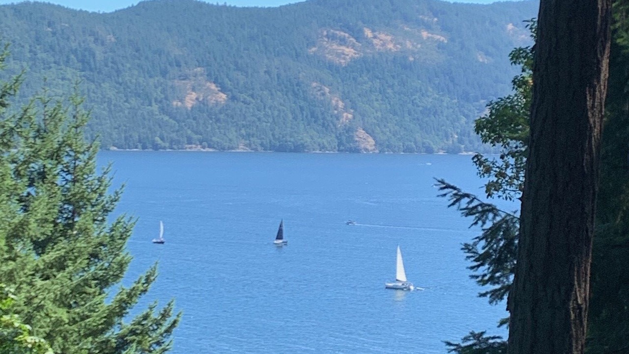 Photo of Others in Maple Bay