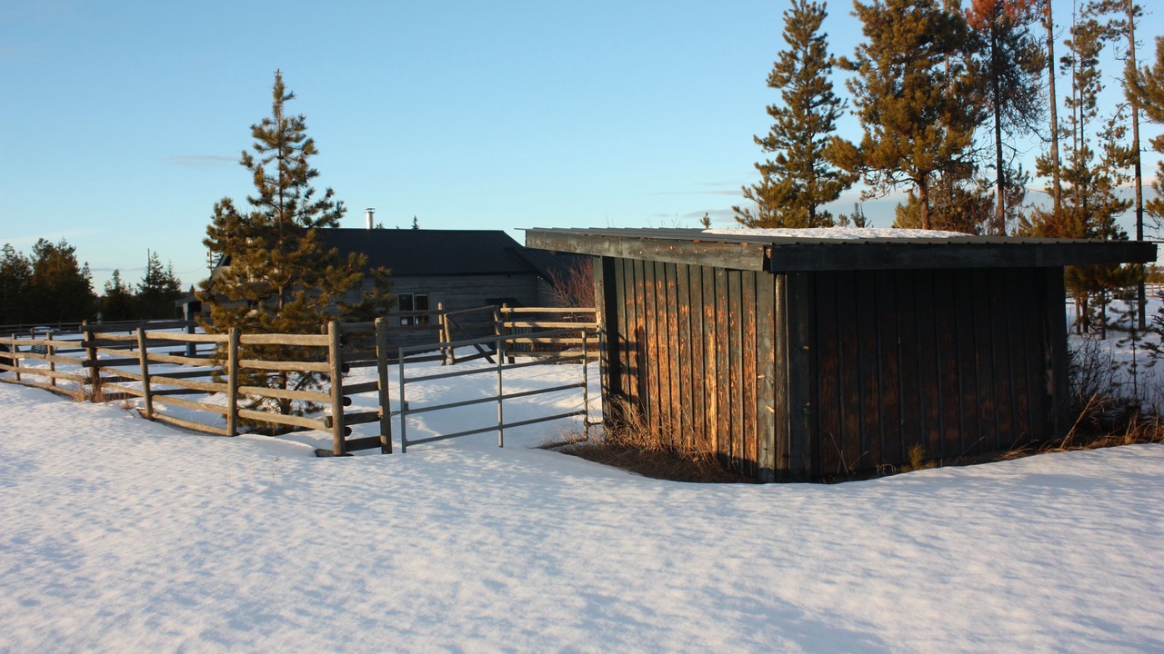 Photo of Outdoor in Prince George