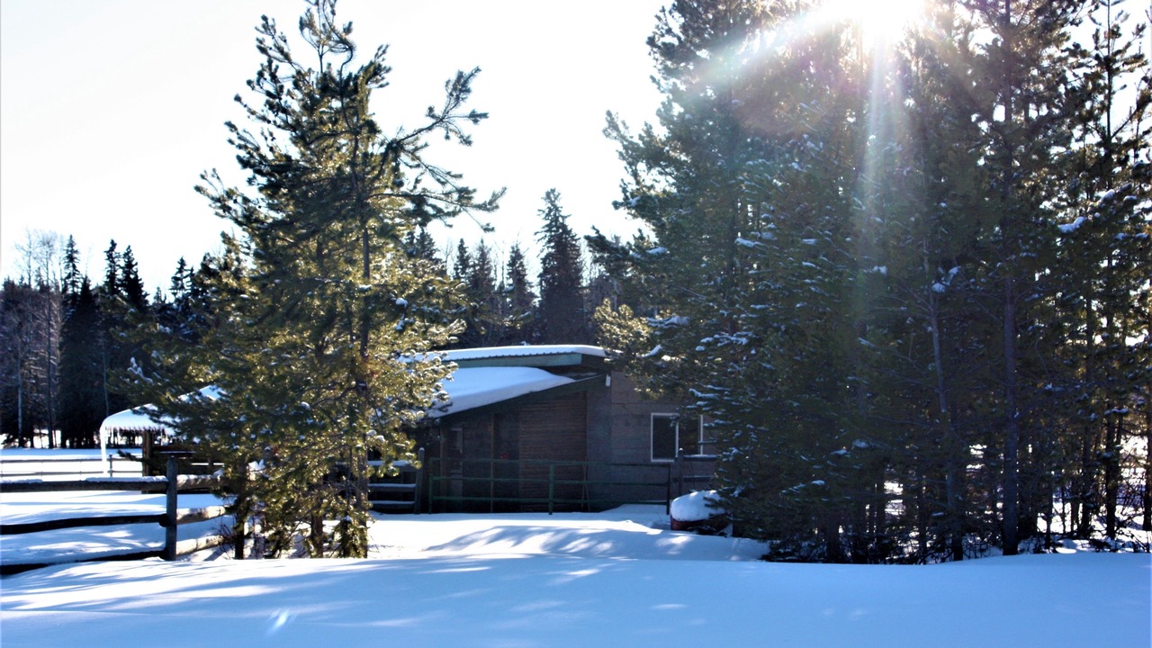 Photo of Bedroom in Prince George