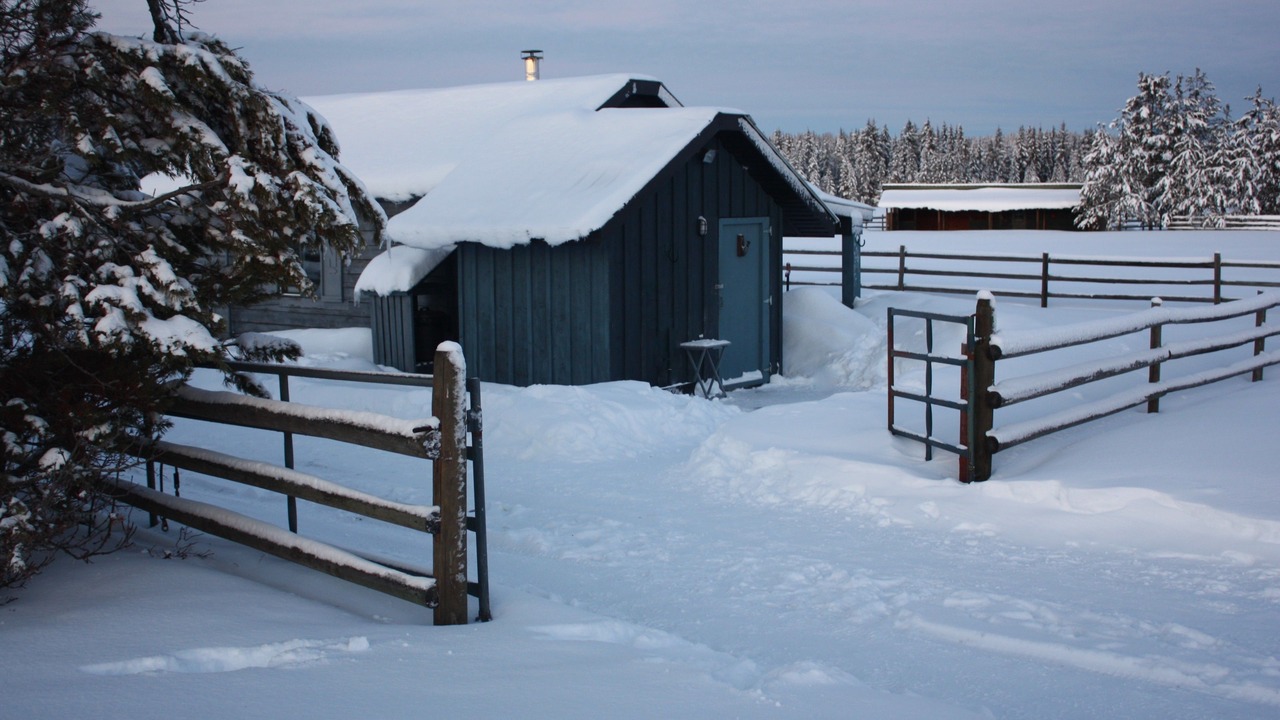 Photo of Bedroom in Prince George