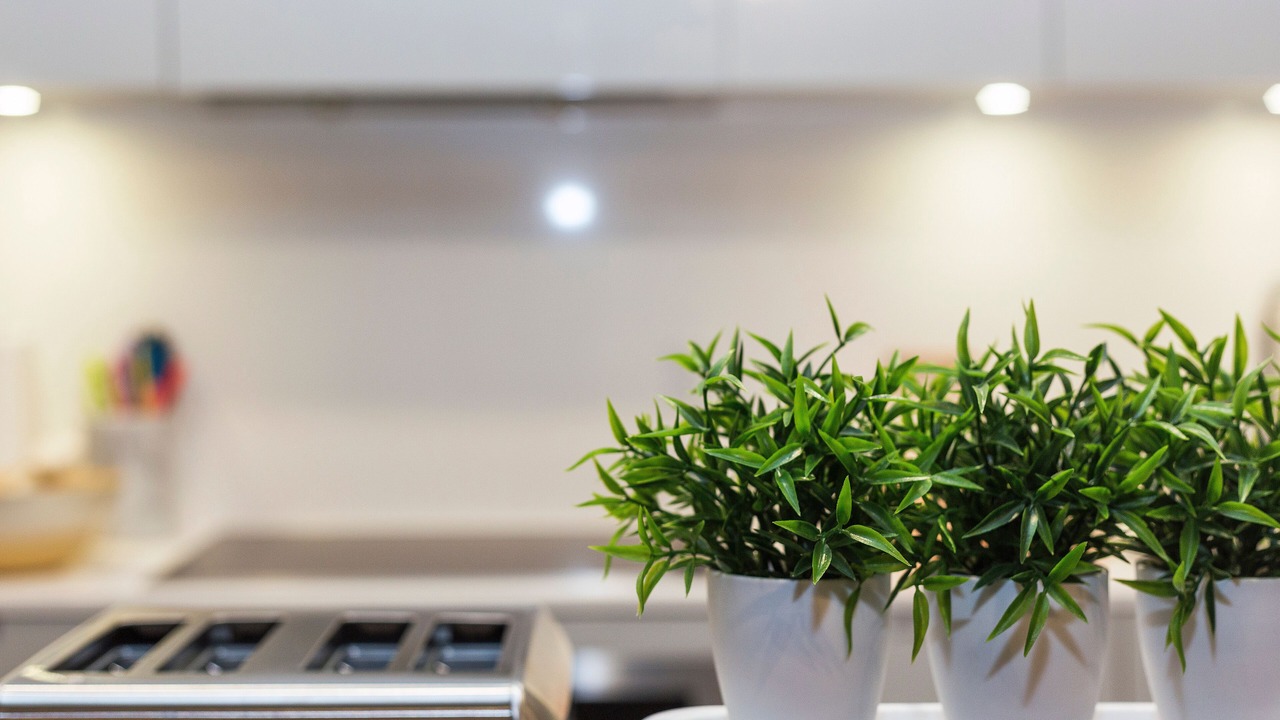 Photo of Kitchen in Downtown Toronto
