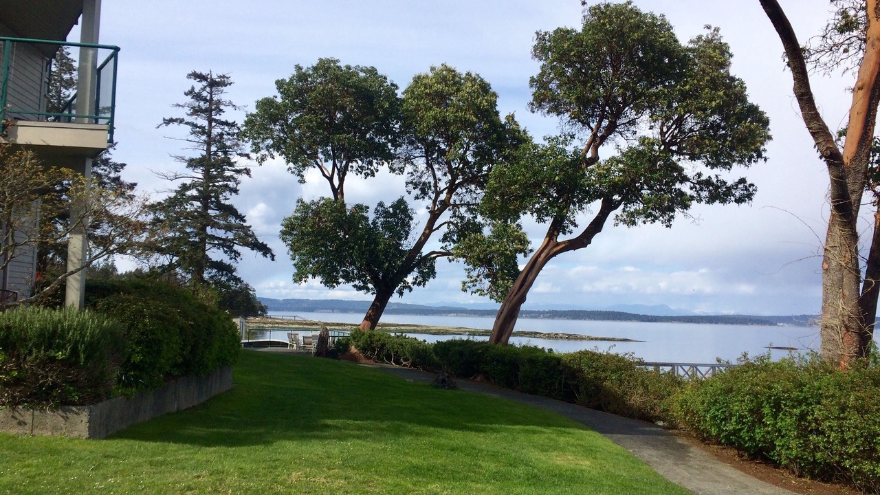 Photo of Outdoor in Yellow Point