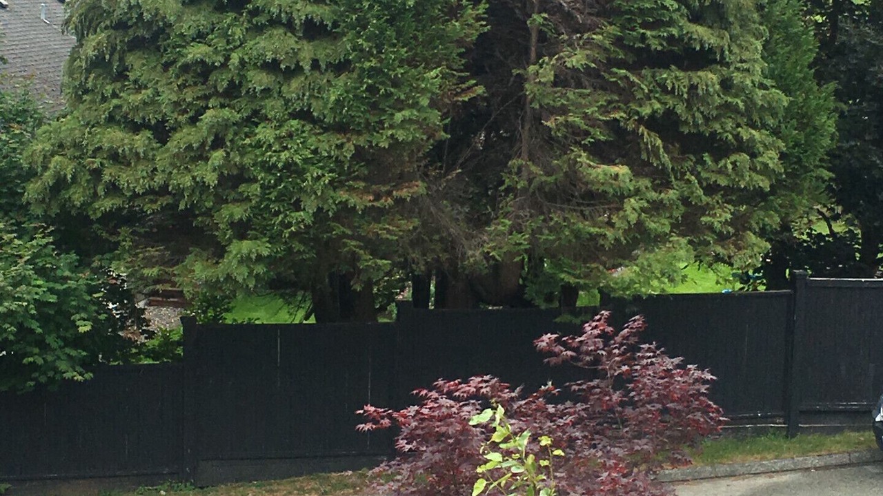 Photo of Others in Upper Lonsdale