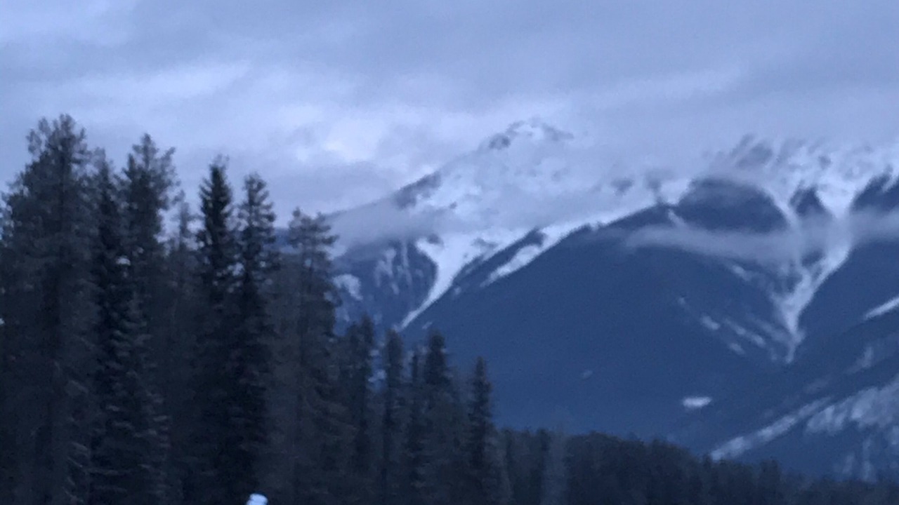 Photo of Others in Blaeberry
