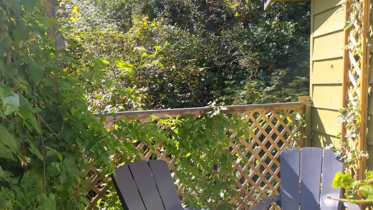 Photo of Outdoor in Madeira Park