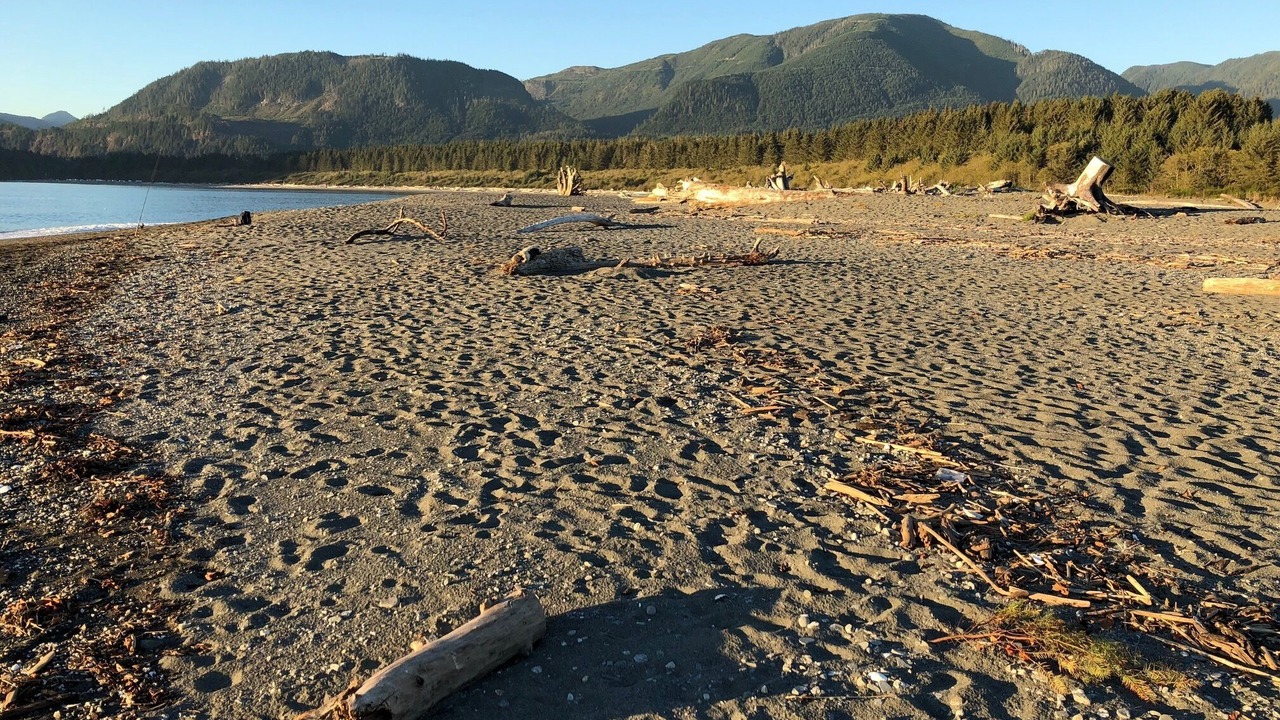 Photo of Others in Port Renfrew