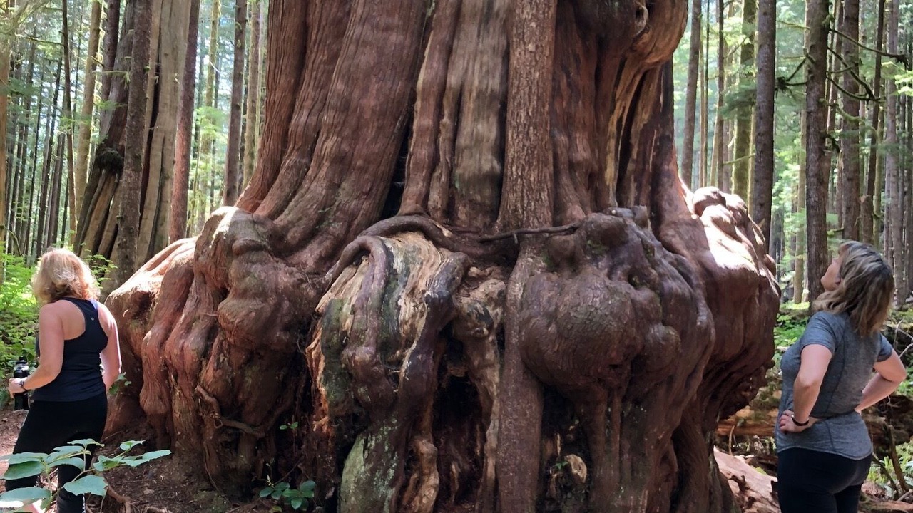 Photo of Outdoor in Port Renfrew
