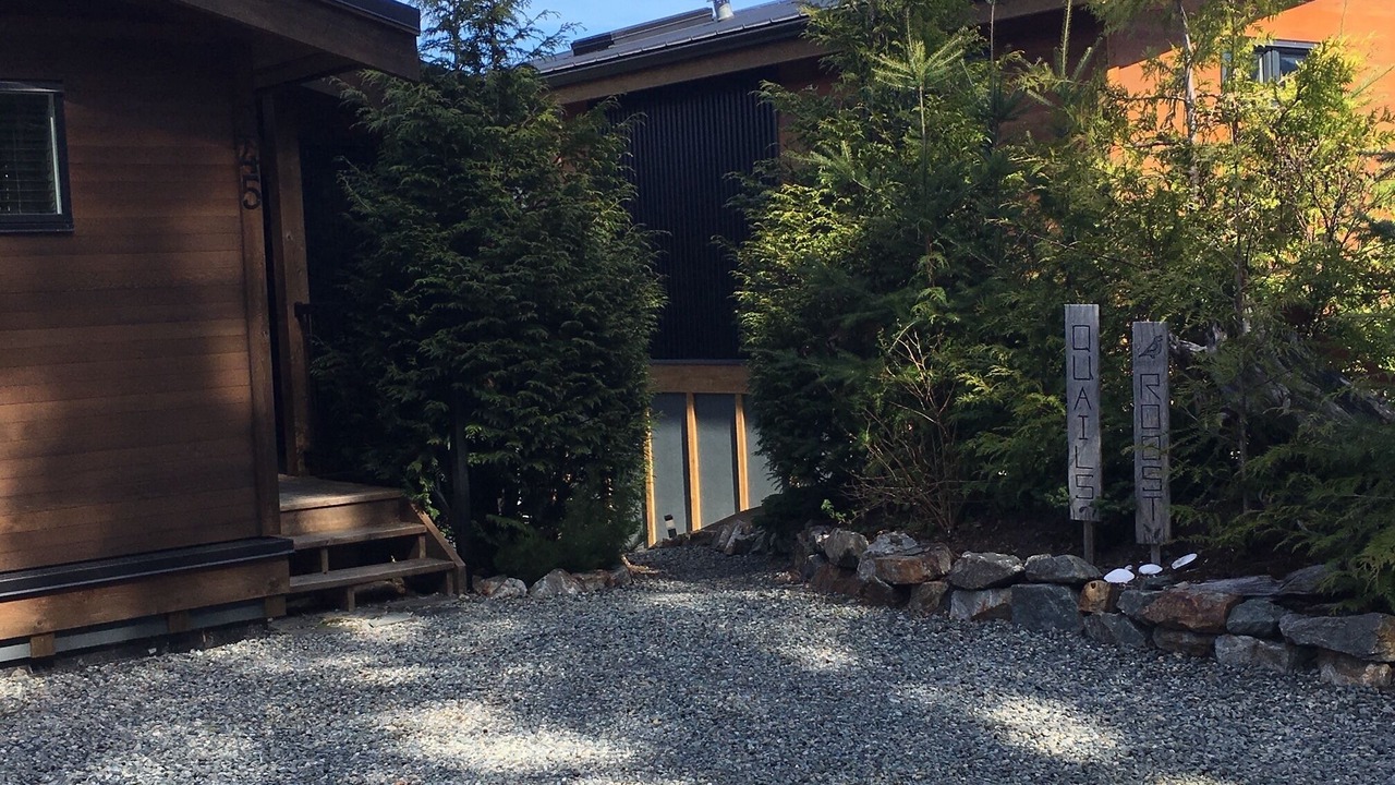 Photo of Outdoor in Port Renfrew